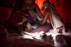 Ledlenser KidBEAM4 LED Hand Torch (Purple) -Camping Promotion Store k59e29570618b7729d370bdca435a3048