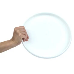 Plastic Ultimate Disc - Surf Illustration -Camping Promotion Store k6abadd68bd21e02f4eeb8232e0eaab0c