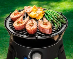 Cadac BBQ Grid 30 -Camping Promotion Store k99ed97a2ecfce9685eca27d9856eb126