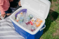 IGLOO Laguna 28QT Cool Box Red -Camping Promotion Store kb309529a331bee3c9613a50999a7df51